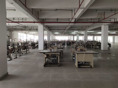 花都區學校建筑抗震安全檢測鑒定工作全面展開，權威機構助力筑牢校園安全防線